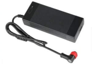 VSETT 10 Apex 67.2v 2A Charger