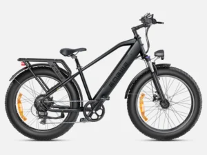 Engwe E26 Electric Bike