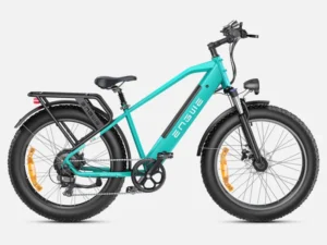 Engwe E26 Electric Bike