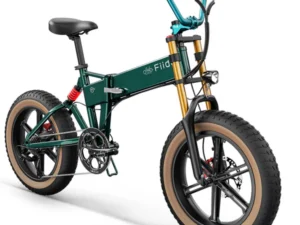 Fiido M1 Pro Electric Bike