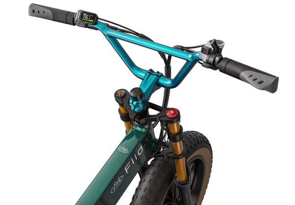 Fiido M1 Pro Electric Bike - Image 4